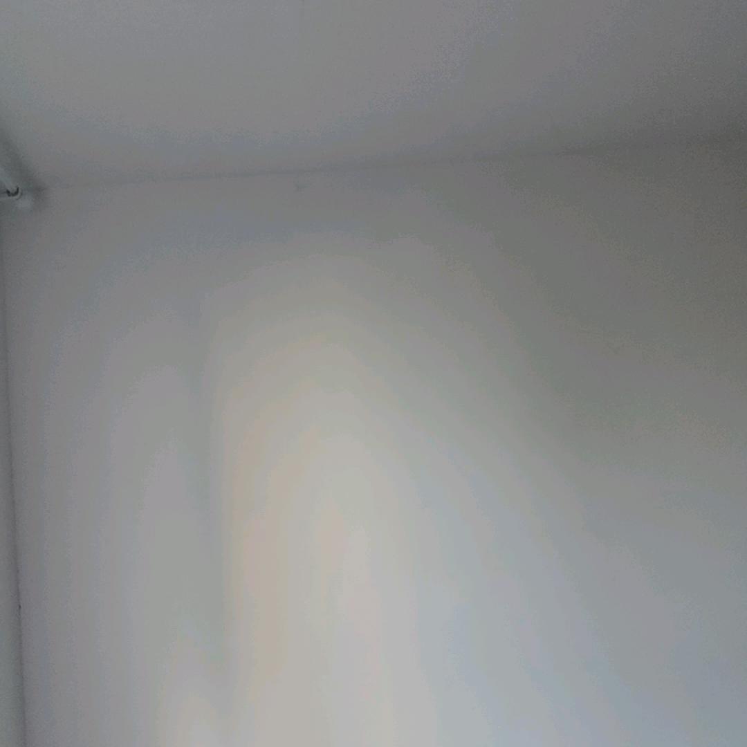来来来来了家长