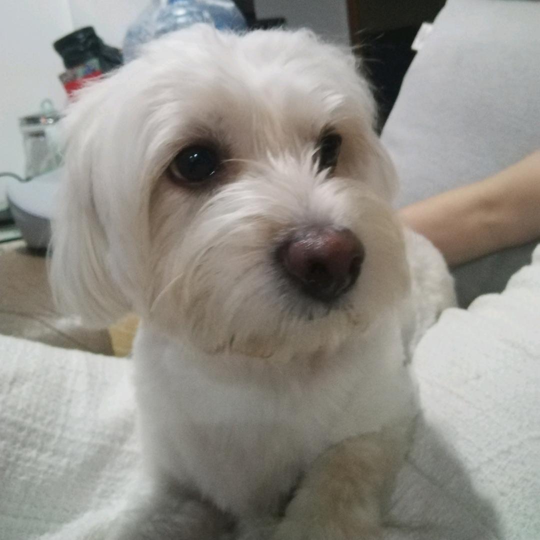 蓝天