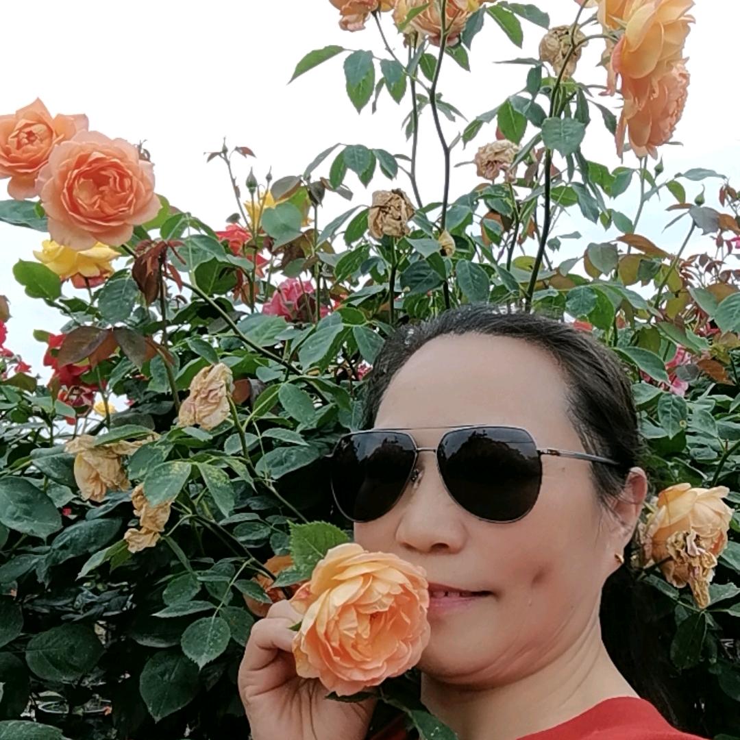 慧姐，拒绝秒赞