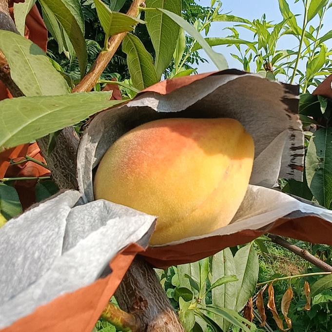 后寨驾校