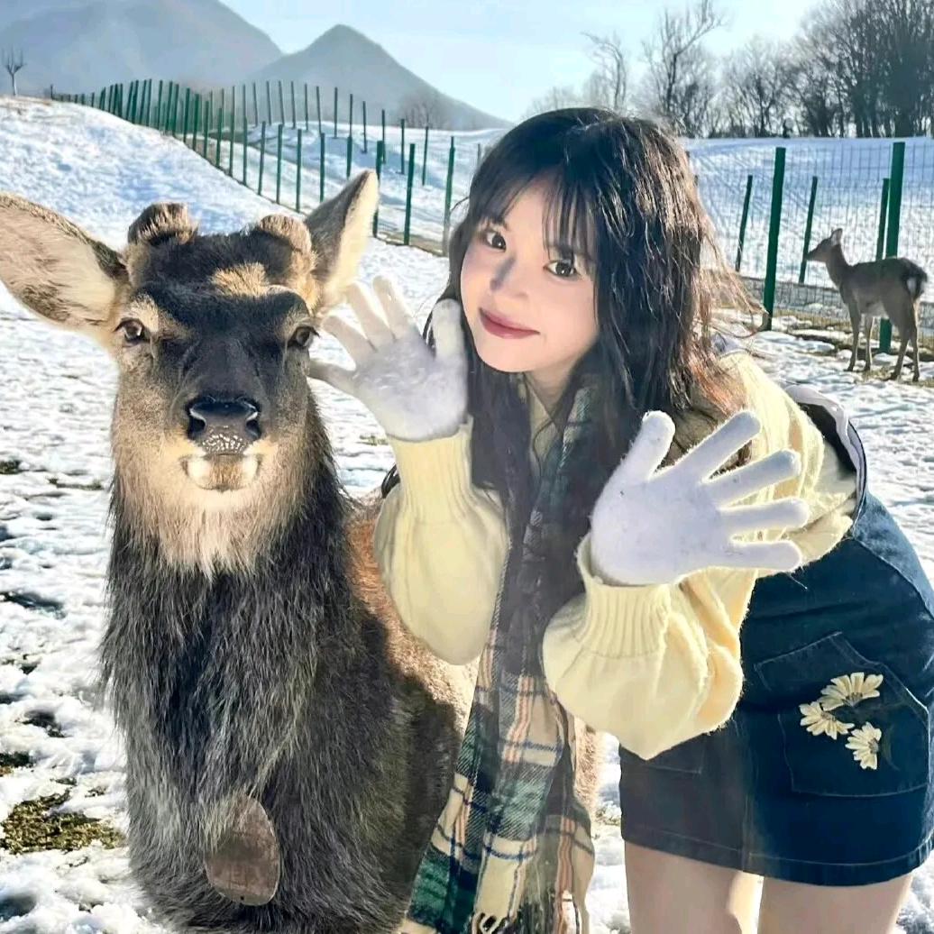 财富收割机ʚ✞ɞ