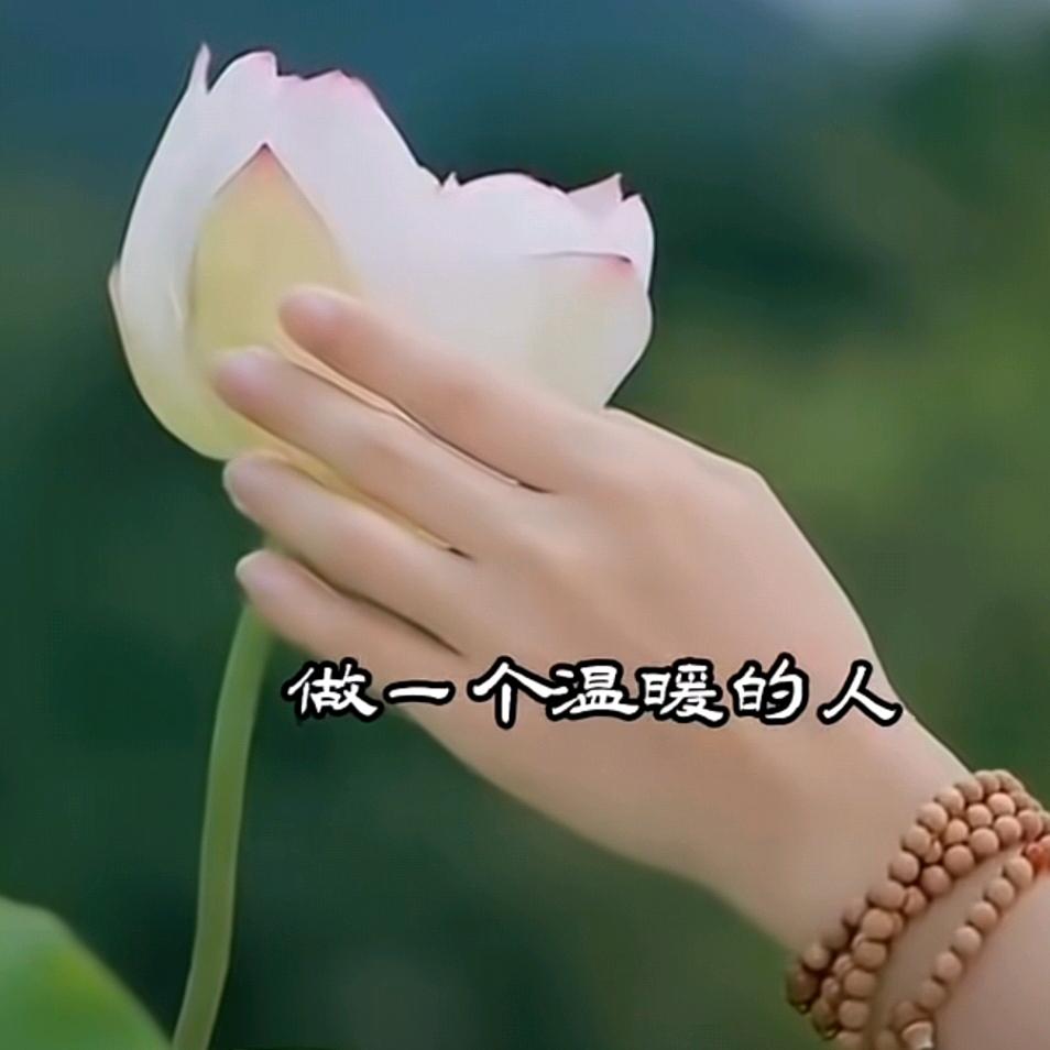 心如止水