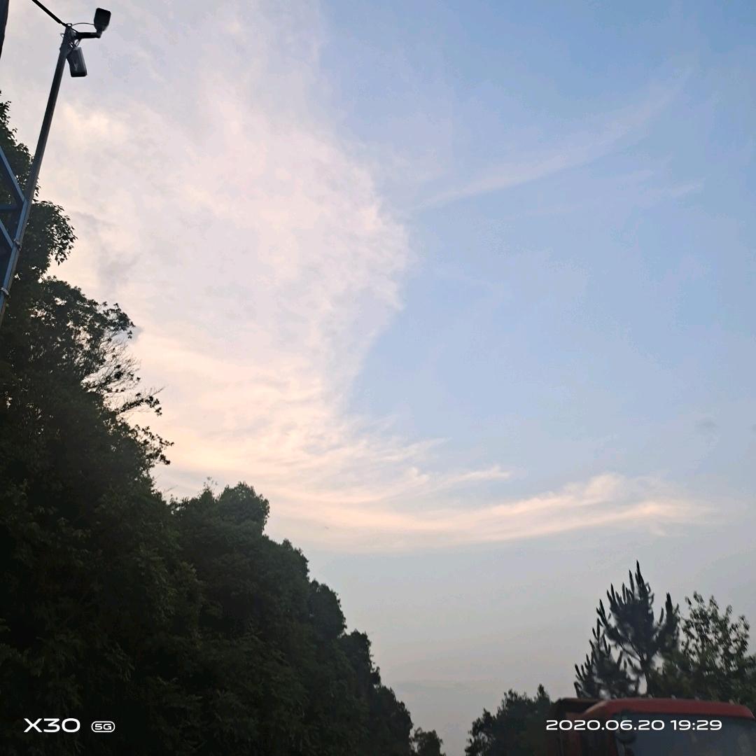 桃李不言，下自成蹊