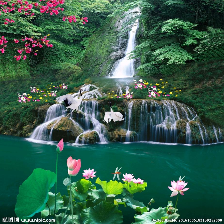 静心❤️