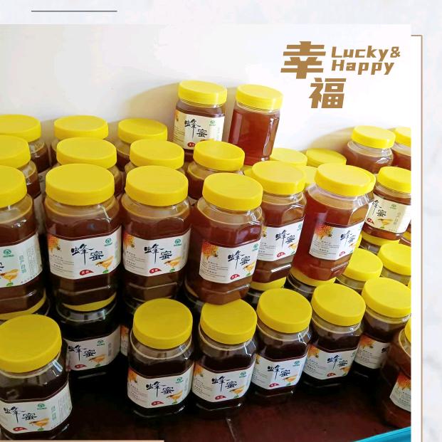 卖蜂蜜的小姐姐（平武棒巢百花蜜）