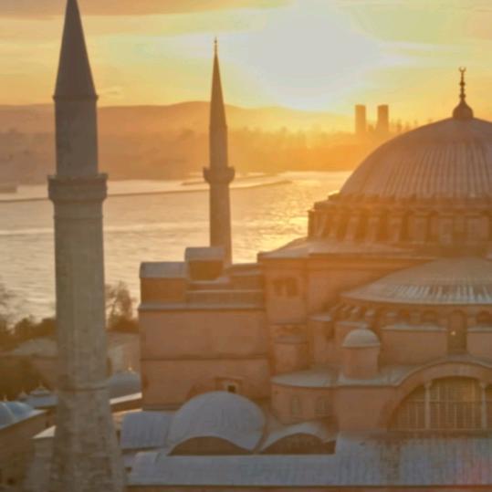 ╭(谁家那小谁)╮