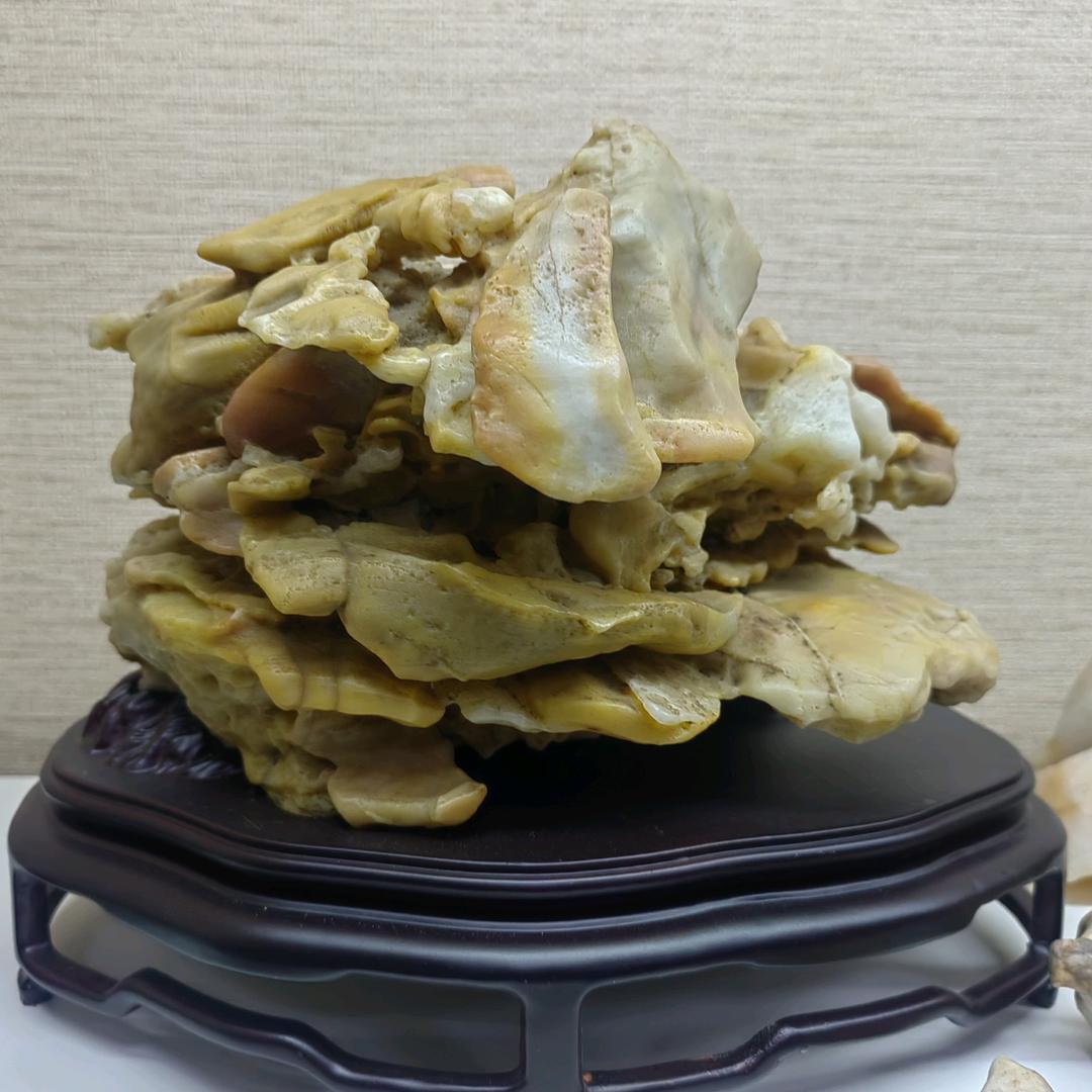 龙清