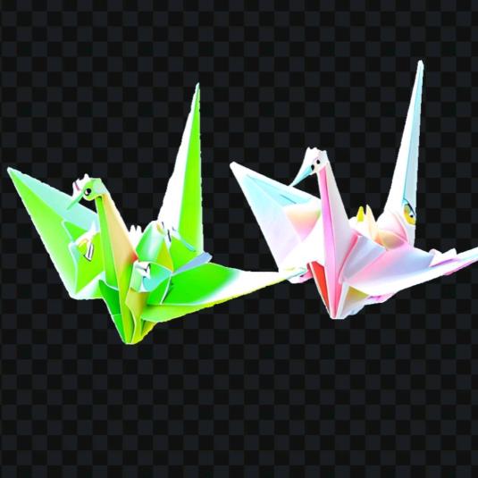 💘鹤鹤有名💘