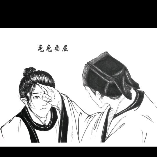 木子的猫爬架