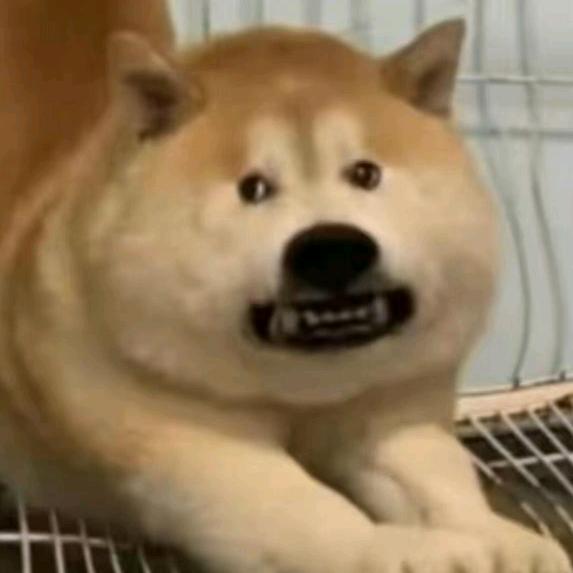 六旬阿公健步如飞给你们都鲨了