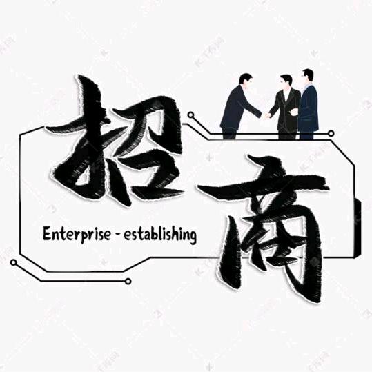 西安专业招商团队-总指挥(道哥团队)