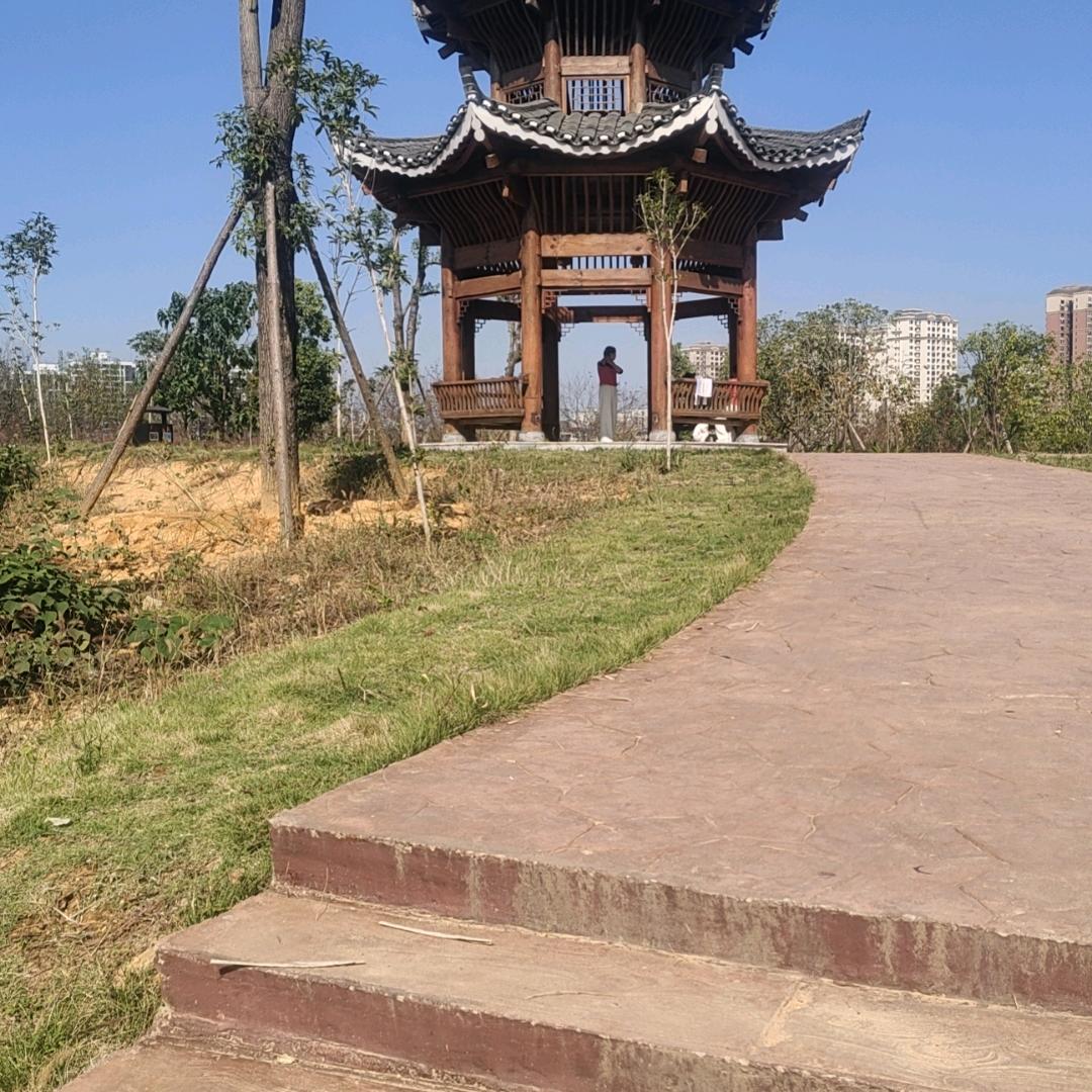 走阳光道