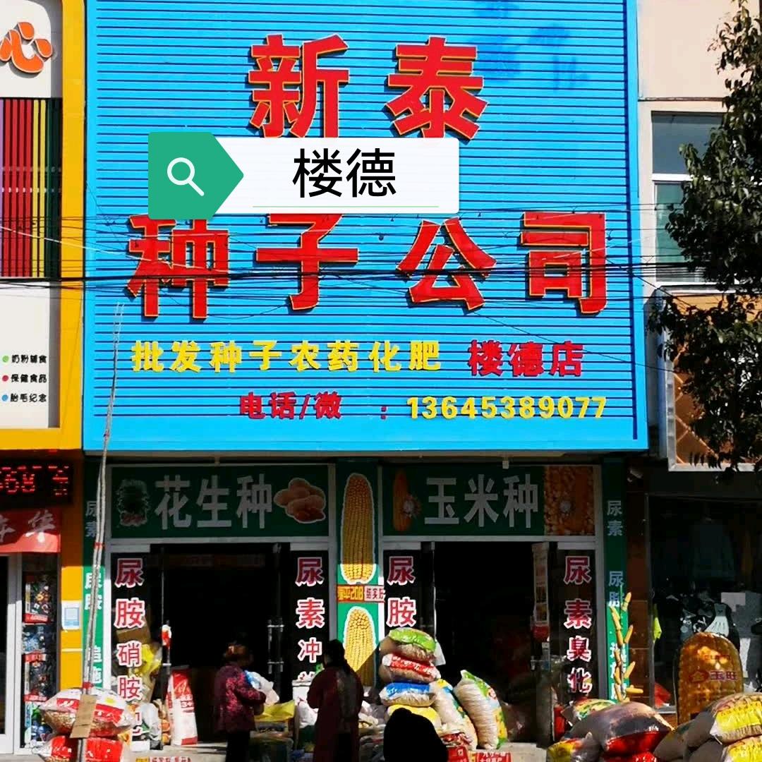 楼德店 ❤新泰种子公司❤