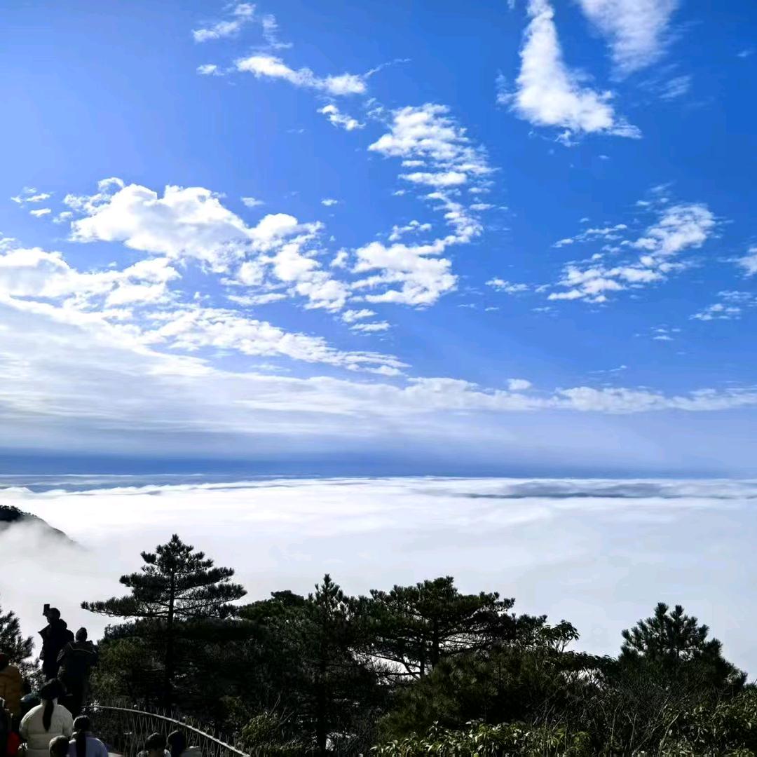 王妃
