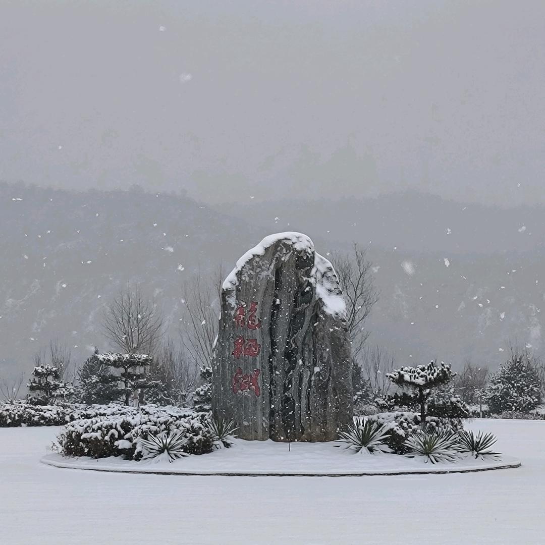 宋一雪