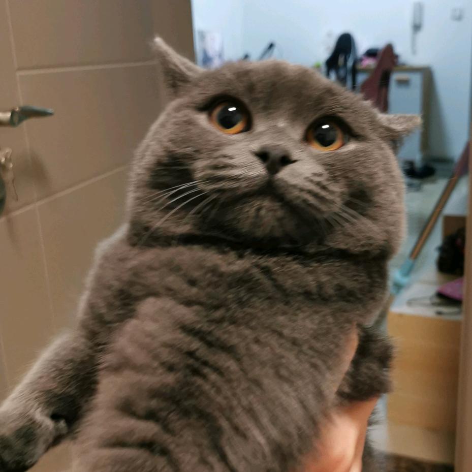 波仔仔