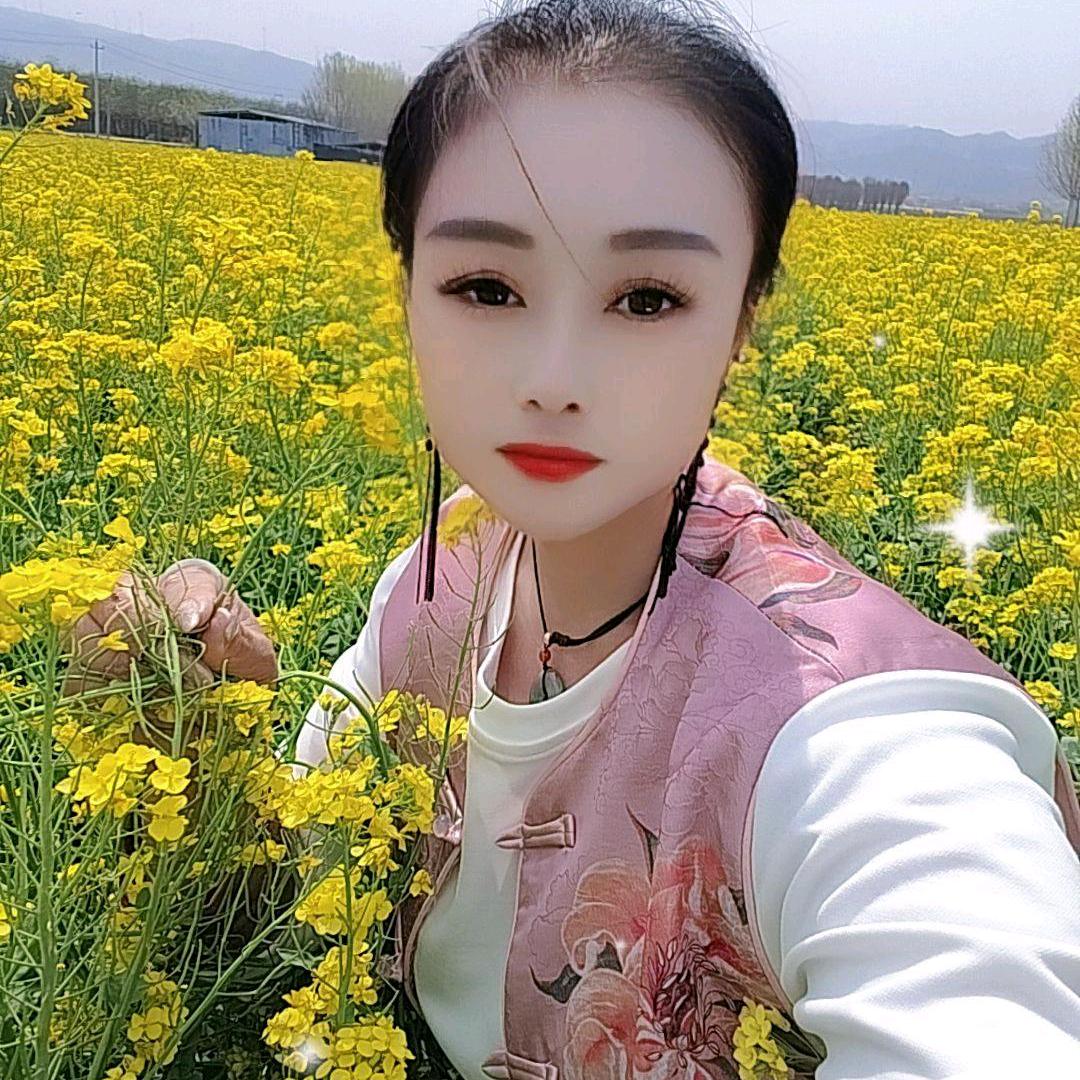 辰云雅韵