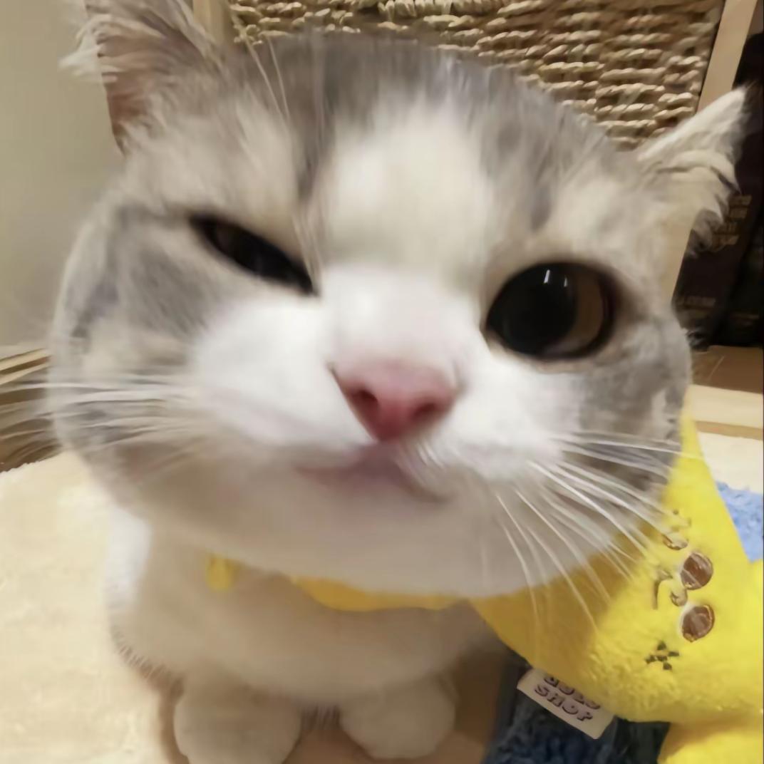 艺术家.yu