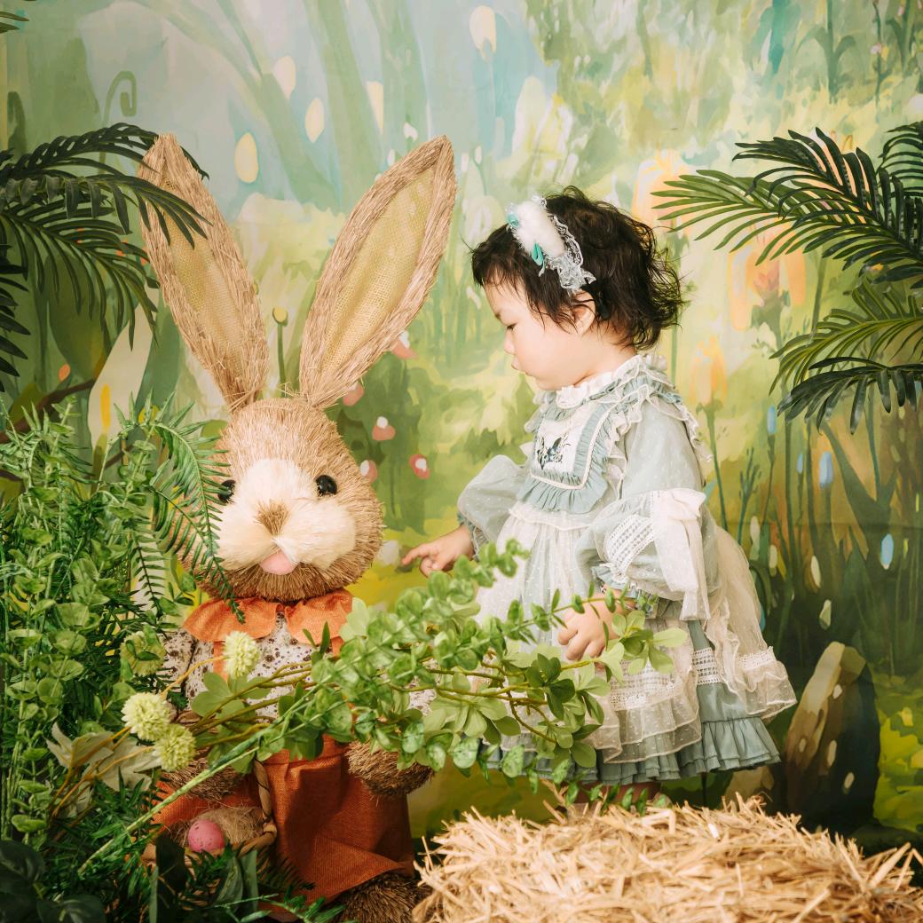 静🐰