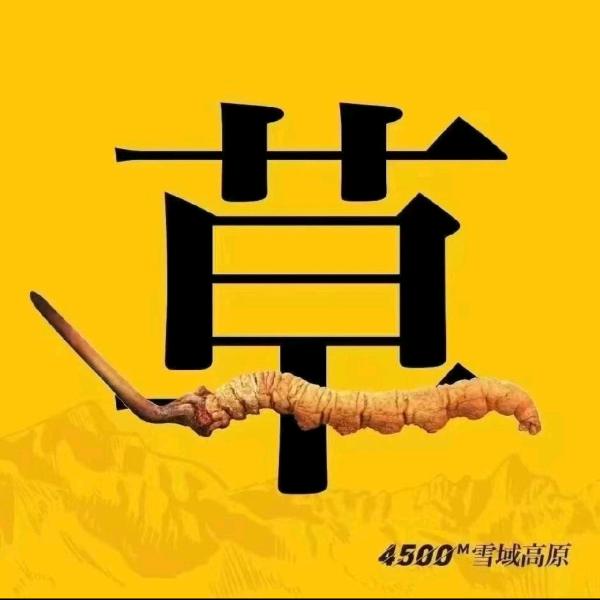 那曲雪茸堂虫草行