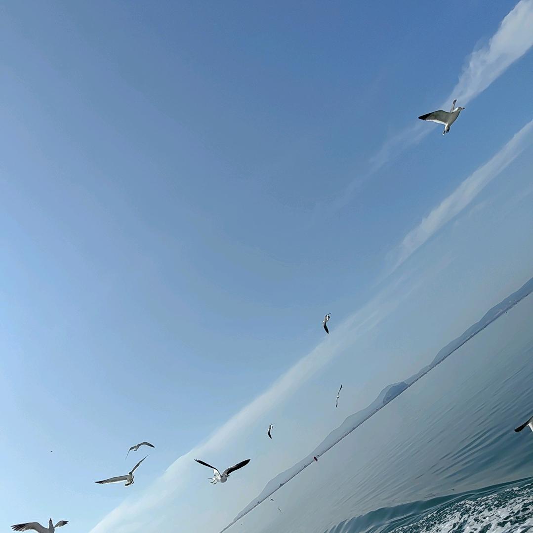 F轻奢户外