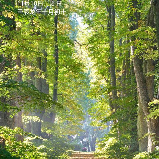 平安果