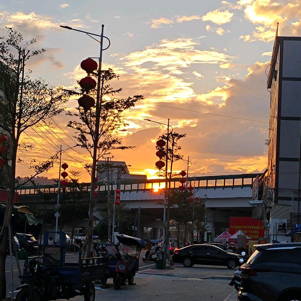 折耳根永远的神