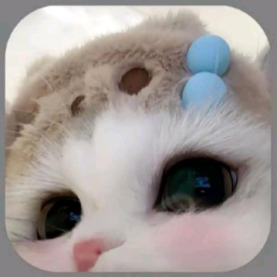 𝙯z_