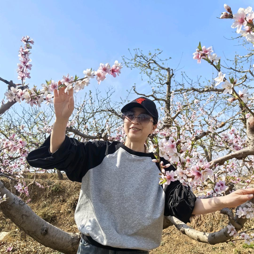心莲