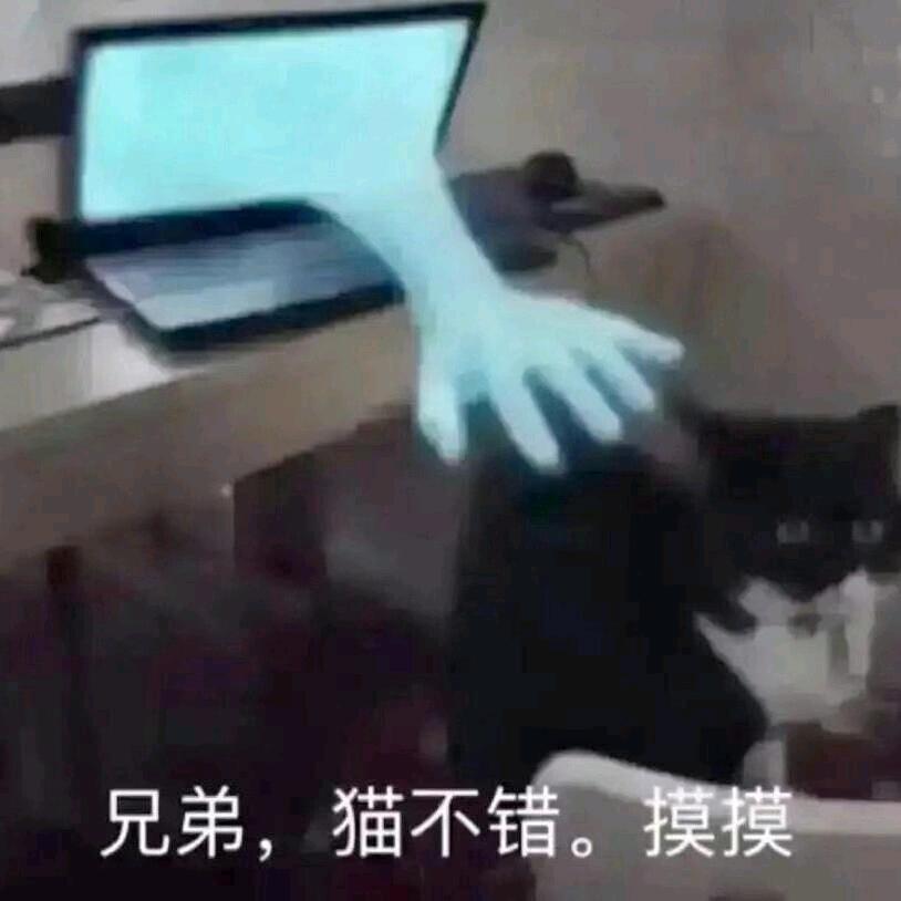 一个人哭，真爱无敌