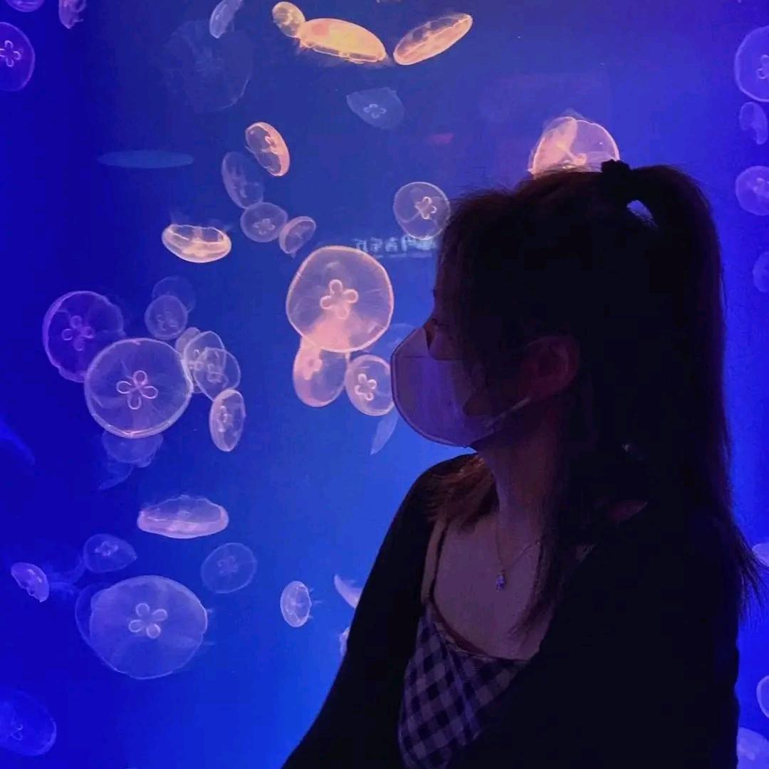 🌸心中的海洋🌸