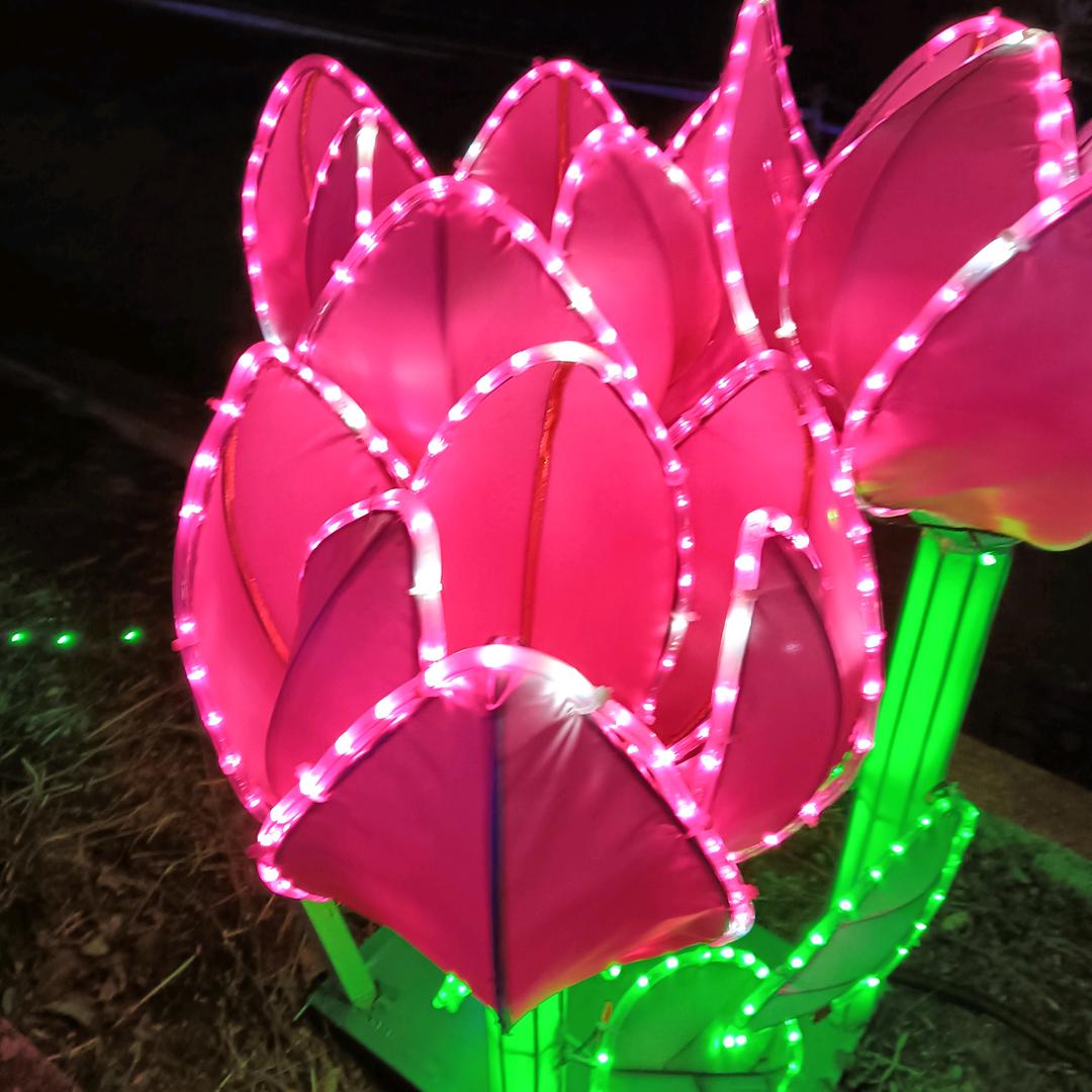 用户519134595612猪🐷姐