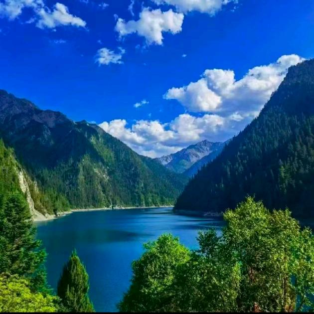 山东鑫宏瑞板材加工有限公司