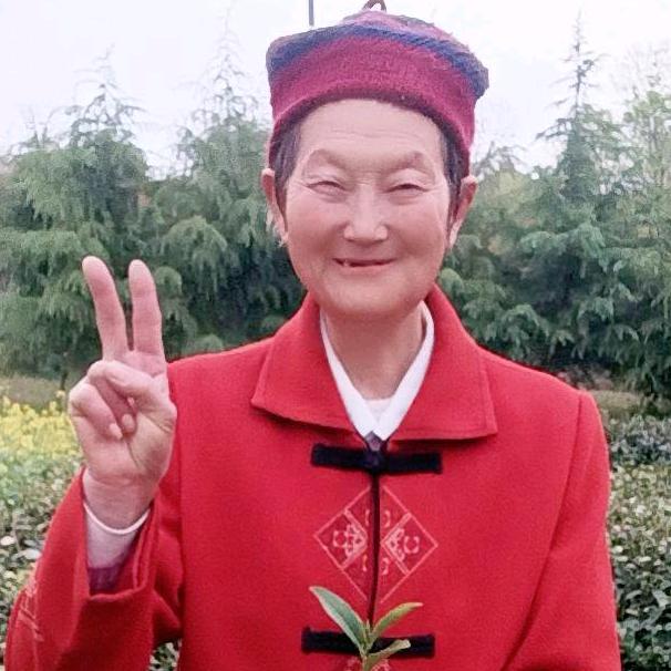 夕阳人生首播周二开播一次中午12点10分