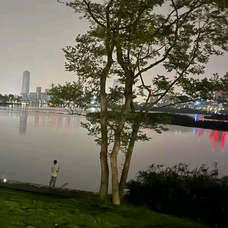 太阳