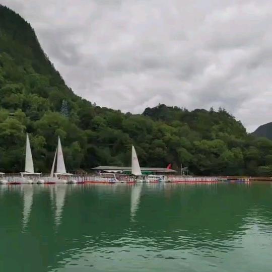 用户7017916152511