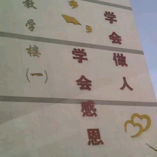 岁月悠悠