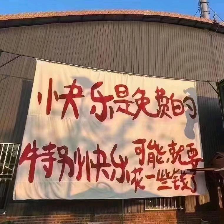 秃头小姐妹