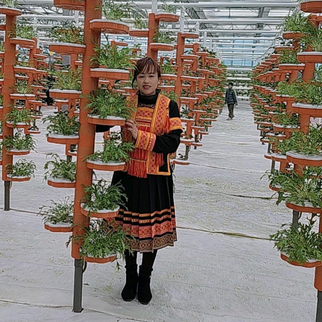 随意而安1