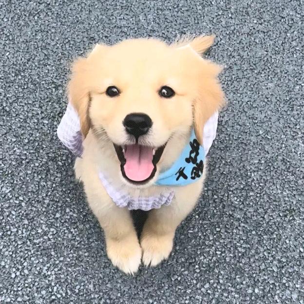 可