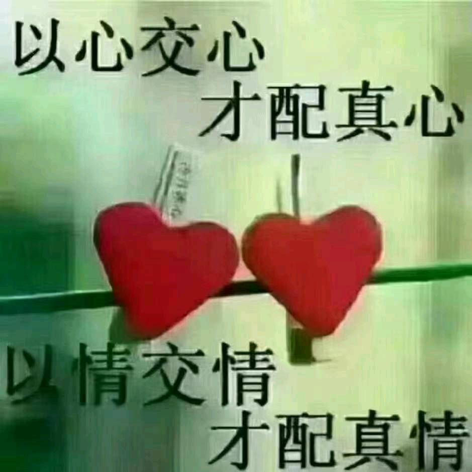 雷历风行