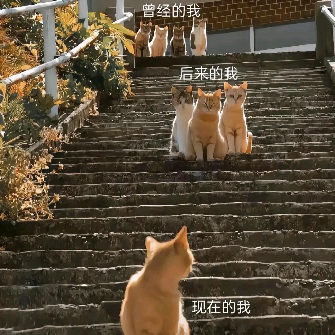 创业落地赚钱，直奔主题