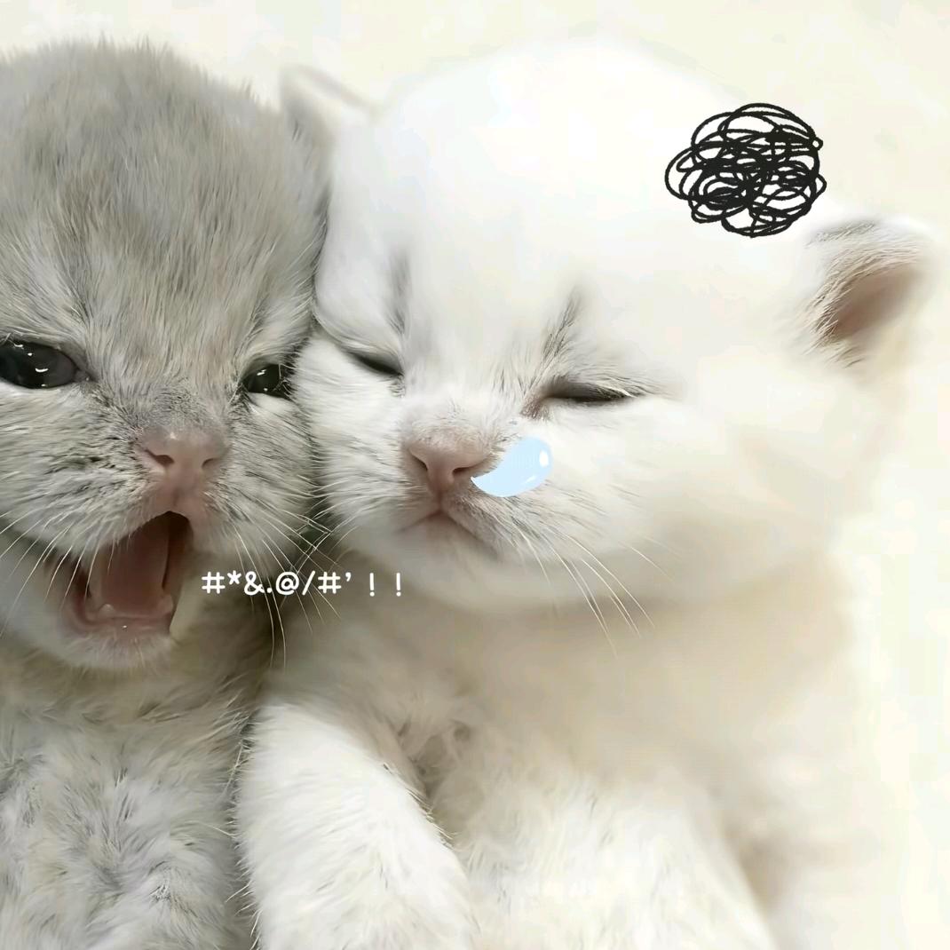 清秋