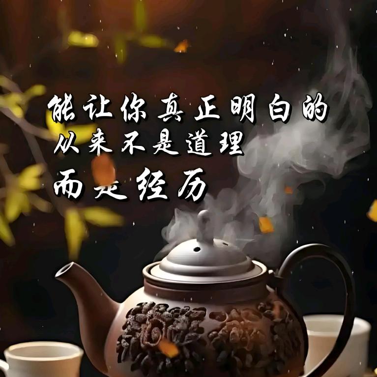 今生已无解