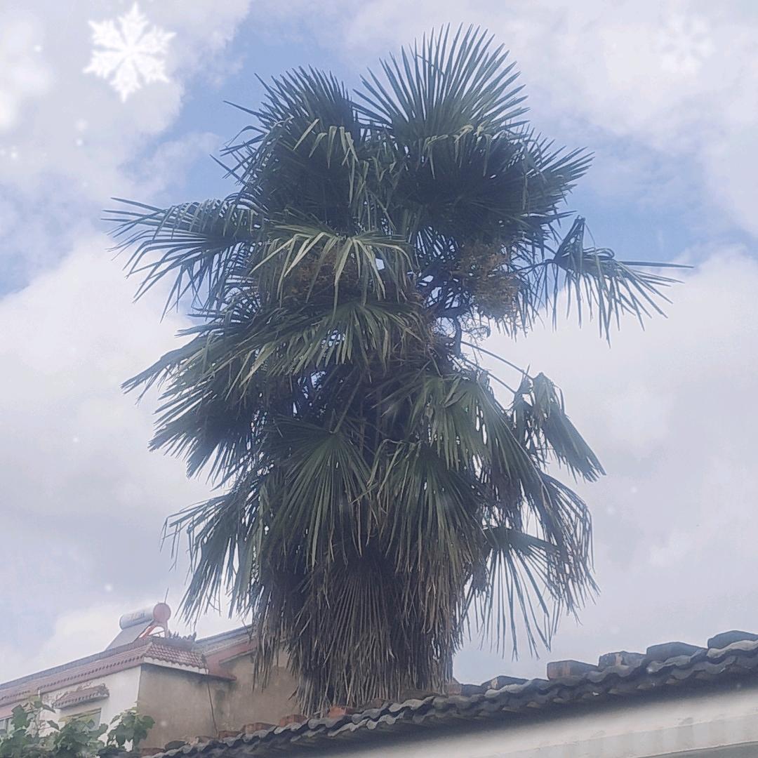 山清水秀，雨雨