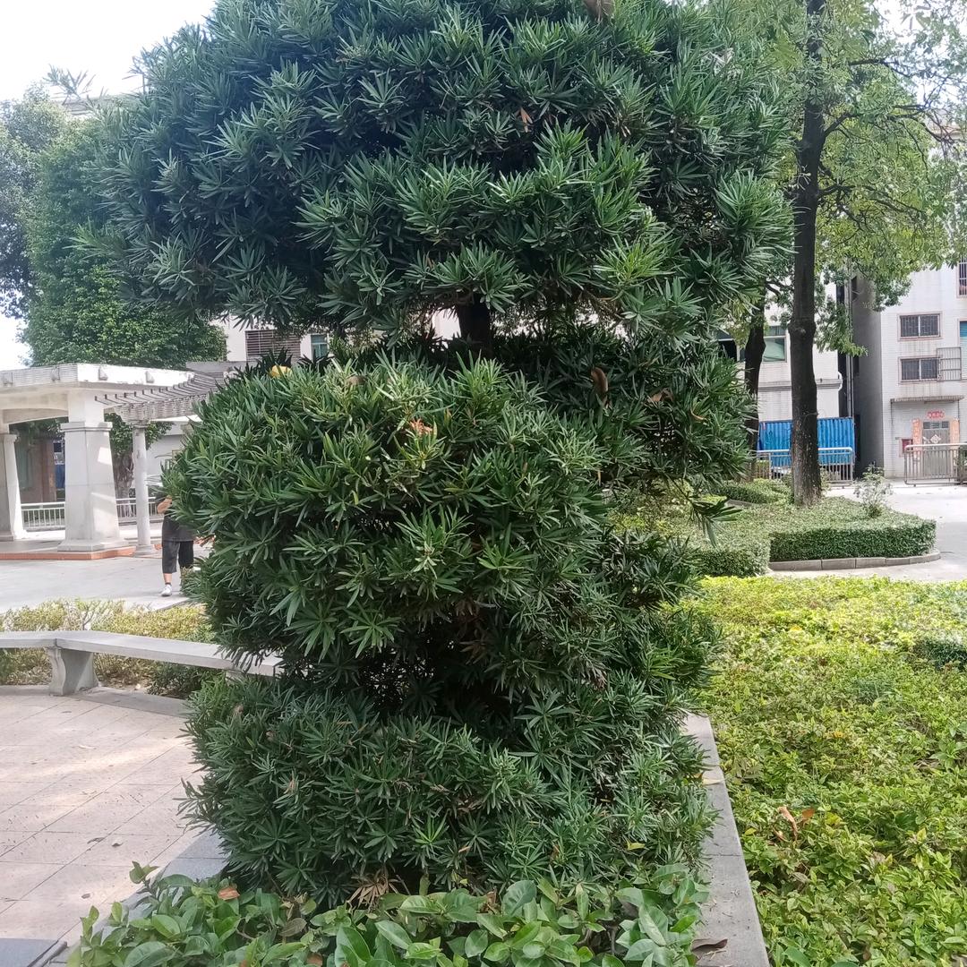 🌿江西小邱🌿