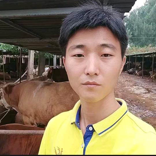 泽牧久远饲料-阳阳