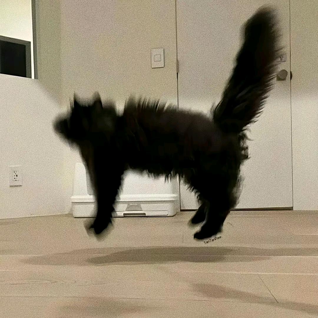 Foooo