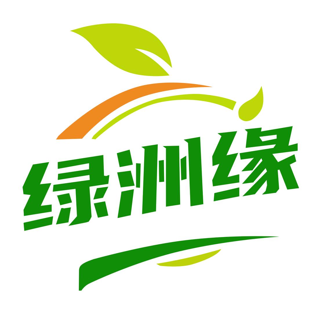 绿洲缘鲜果