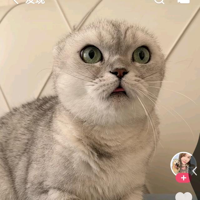 @  小武爱睡觉🕑